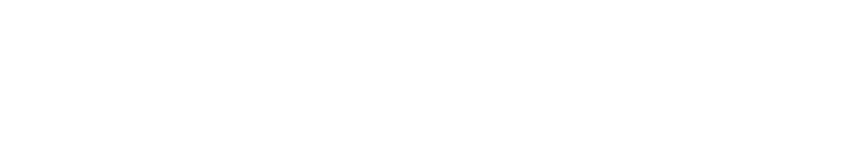Commonwealth Home Health Network logo